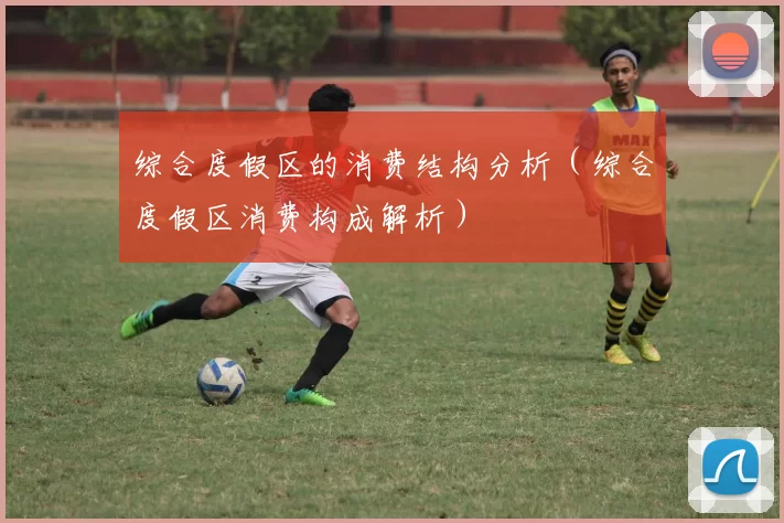 综合度假区的消费结构分析（综合度假区消费构成解析）