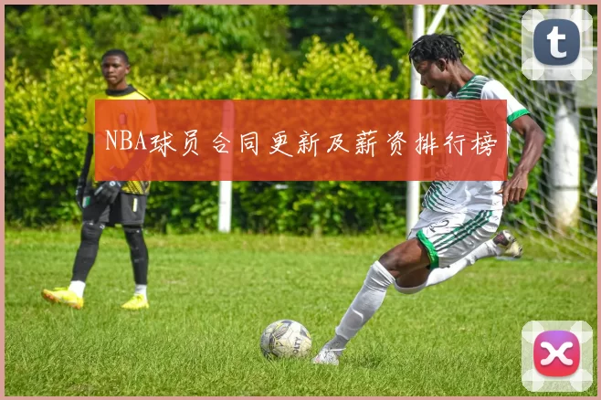 NBA球员合同更新及薪资排行榜