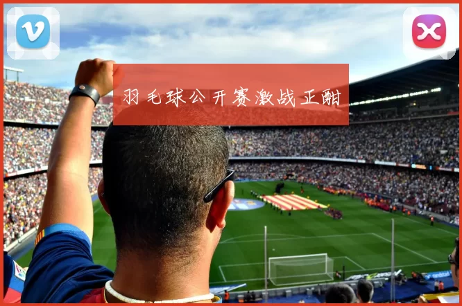 羽毛球公开赛激战正酣