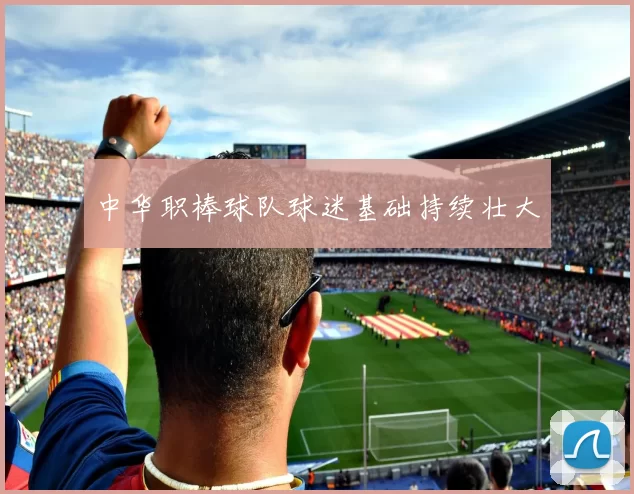 中华职棒球队球迷基础持续壮大