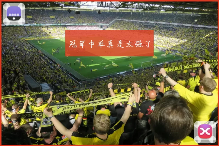 冠军中单真是太强了