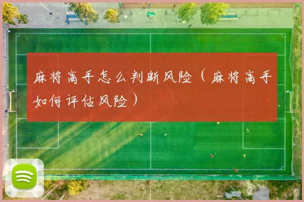 麻将高手怎么判断风险（麻将高手如何评估风险）