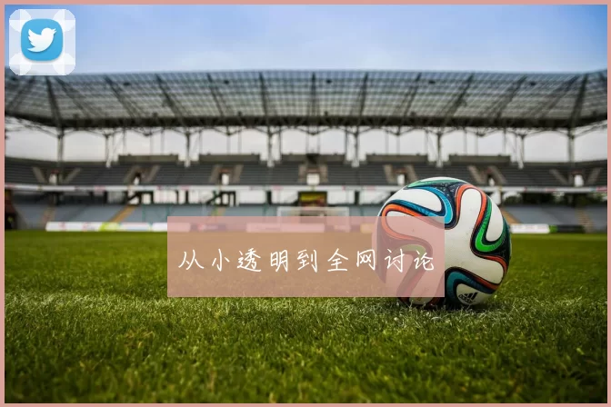 从小透明到全网讨论